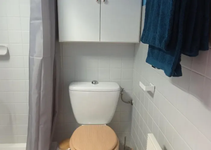 Le Bellevue Apartment Aix-les-Bains